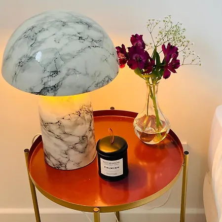 Luxury Flat Near Paris &
